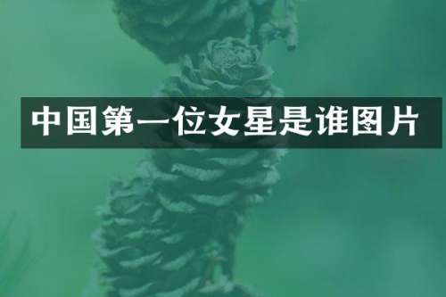中国第一位女星是谁图片