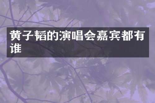 黄子韬的演唱会嘉宾都有谁