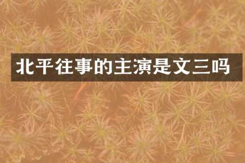 北平往事的主演是文三吗