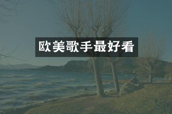 欧美歌手最好看