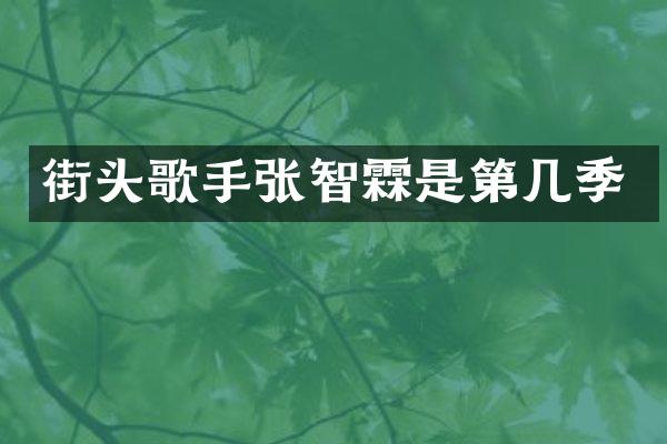 街头歌手张智霖是第几季