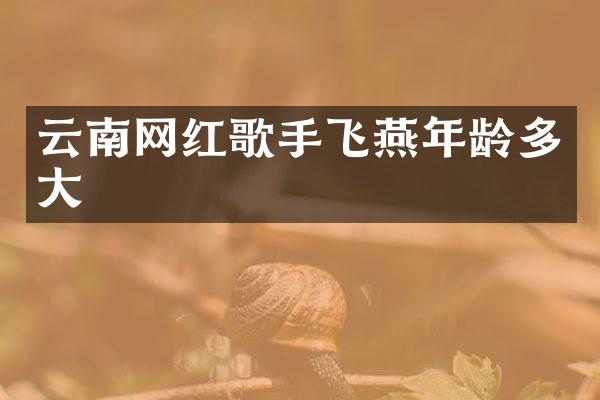 云南网红歌手飞燕年龄多大