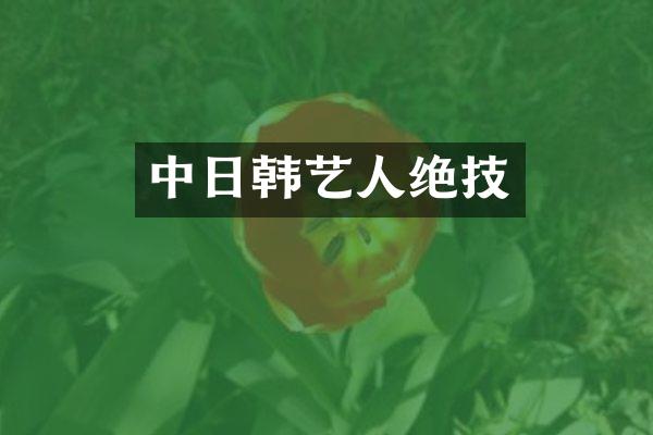中日韩艺人绝技