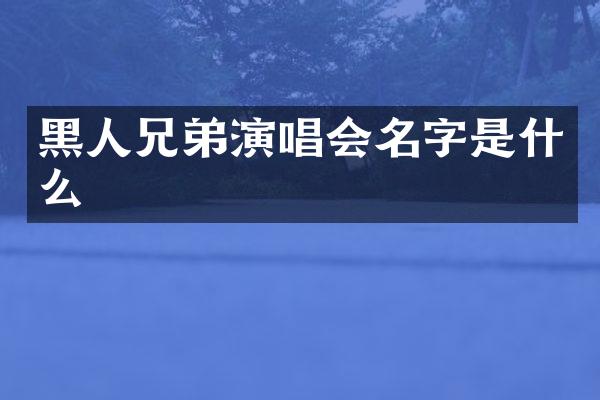 黑人兄弟演唱会名字是什么