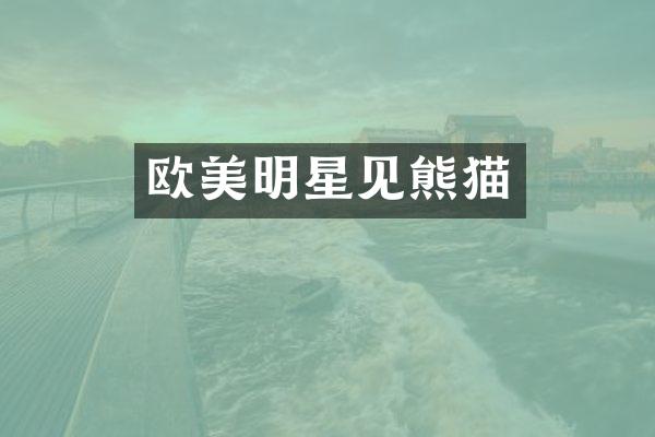 欧美明星见熊猫