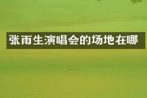 张雨生演唱会的场地在哪