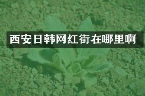 西安日韩网红街在哪里啊