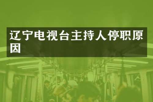 辽宁电视台主持人停职原因