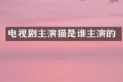 电视剧主演猫是谁主演的