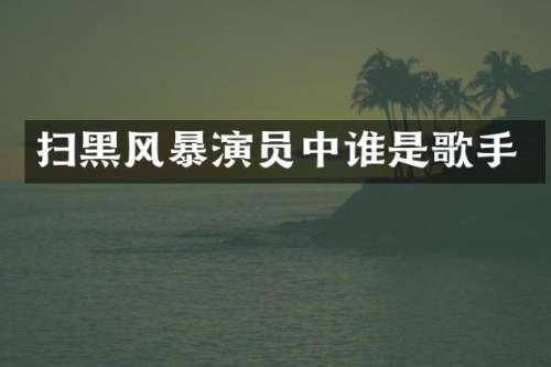 扫黑风暴演员中谁是歌手