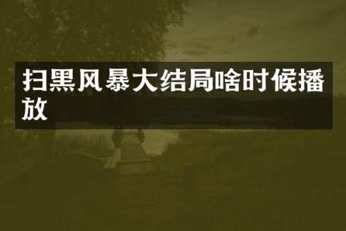 扫黑风暴大结局啥时候播放