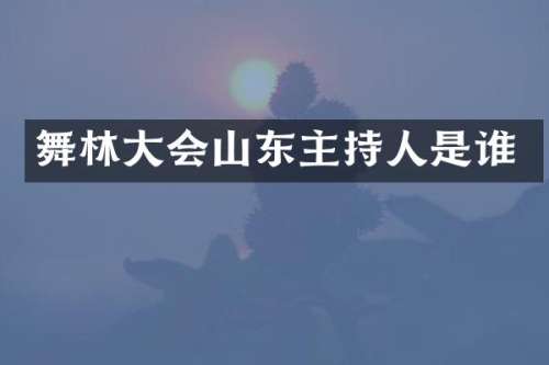 舞林大会山东主持人是谁
