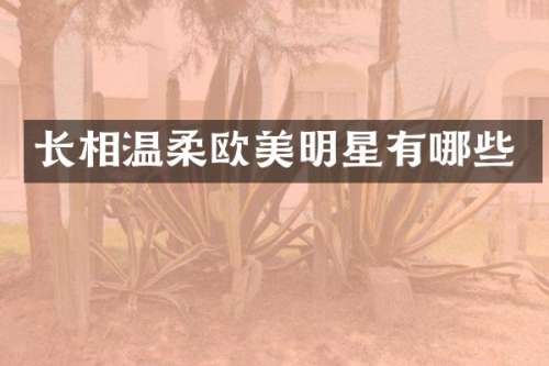 长相温柔欧美明星有哪些
