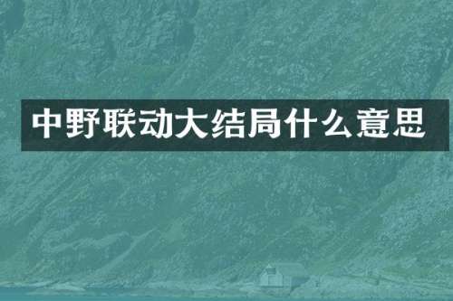 中野联动大结局什么意思