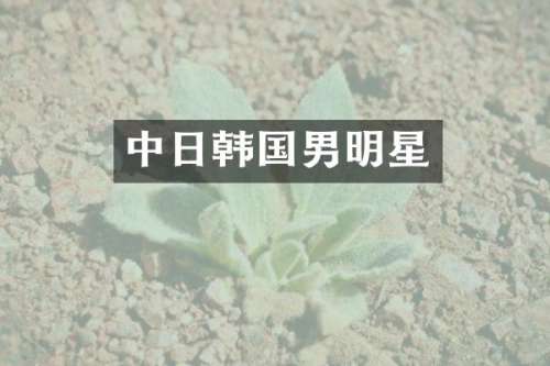 中日韩国男明星