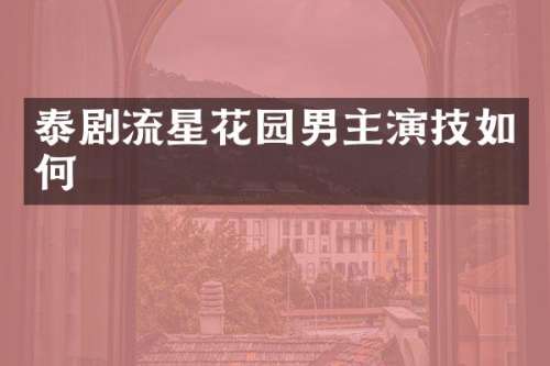 泰剧流星花园男主演技如何