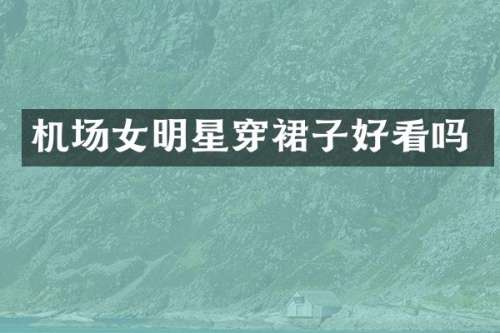 机场女明星穿裙子好看吗