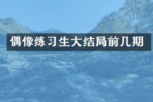 偶像练习生大结局前几期