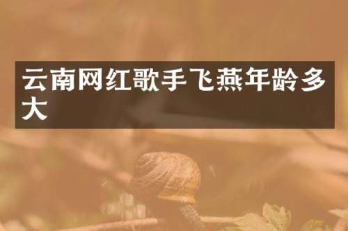 云南网红歌手飞燕年龄多大