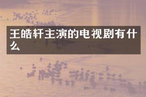 王皓轩主演的电视剧有什么
