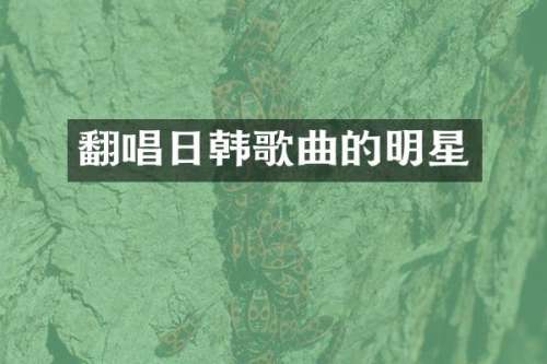 翻唱日韩歌曲的明星