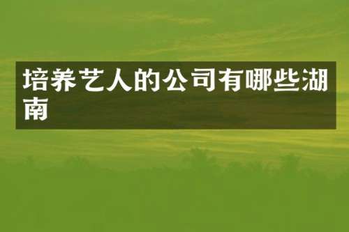 培养艺人的公司有哪些湖南