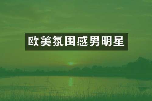 欧美氛围感男明星
