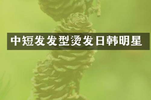 中短发发型烫发日韩明星