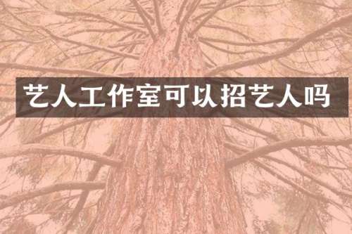 艺人工作室可以招艺人吗