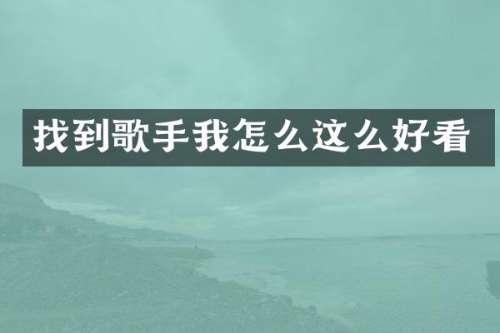 找到歌手我怎么这么好看