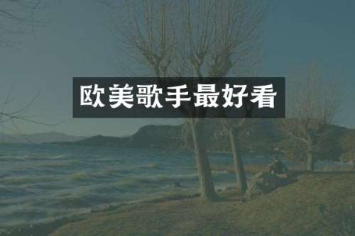 欧美歌手最好看