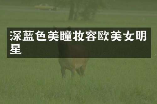 深蓝色美瞳妆容欧明星