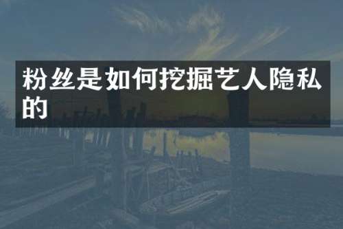 粉丝是如何挖掘艺人隐私的