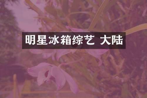 明星冰箱综艺 大陆