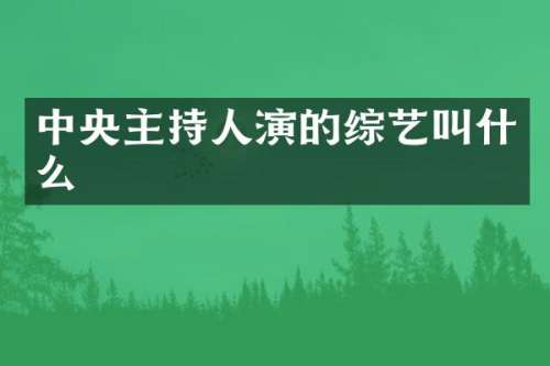 中央主持人演的综艺叫什么