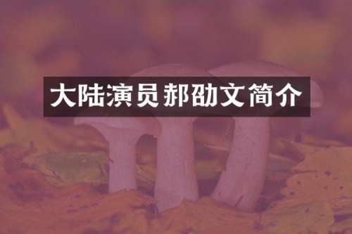 大陆演员郝劭文简介