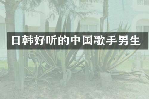 日韩好听的中国歌手男生
