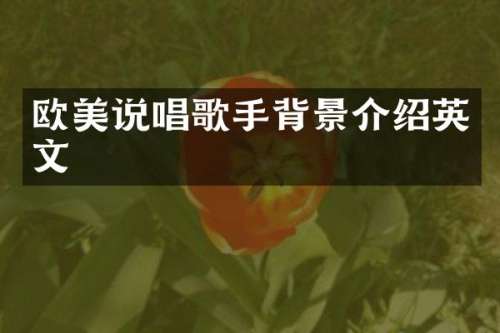 欧美说唱歌手背景介绍英文