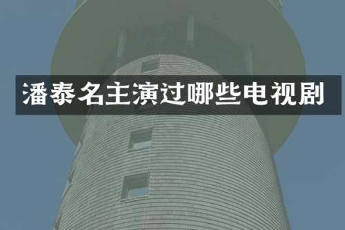 潘泰名主演过哪些电视剧