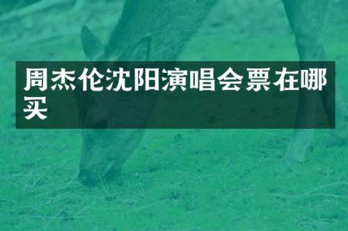 周杰伦沈阳演唱会票在哪买