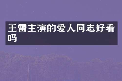 王雷主演的爱人同志好看吗