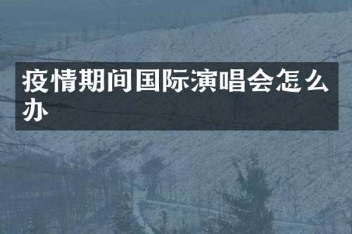 疫情期间国际演唱会怎么办