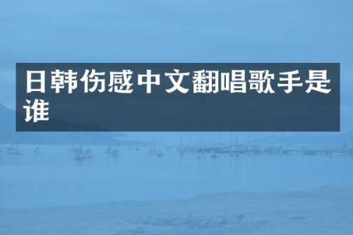 日韩伤感中文翻唱歌手是谁