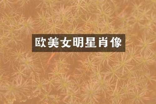 欧明星肖像