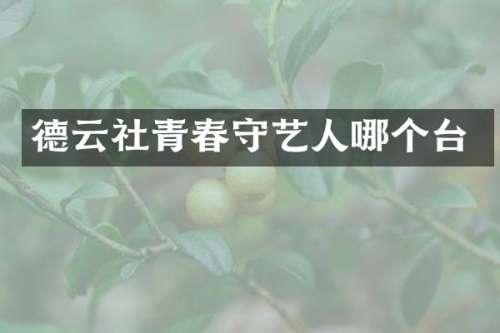 德云社青春守艺人哪个台