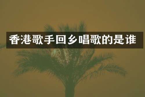 香港歌手回乡唱歌的是谁
