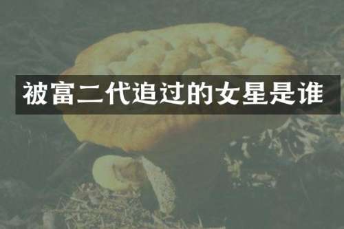 被富二代追过的女星是谁