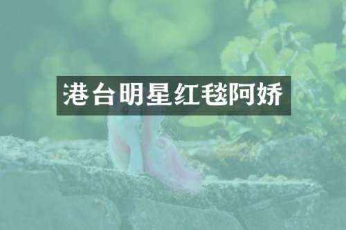 港台明星红毯阿娇