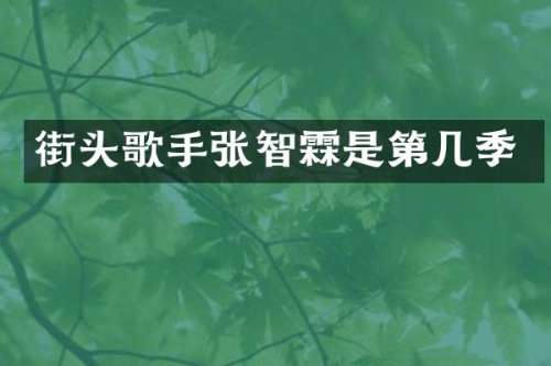 街头歌手张智霖是第几季