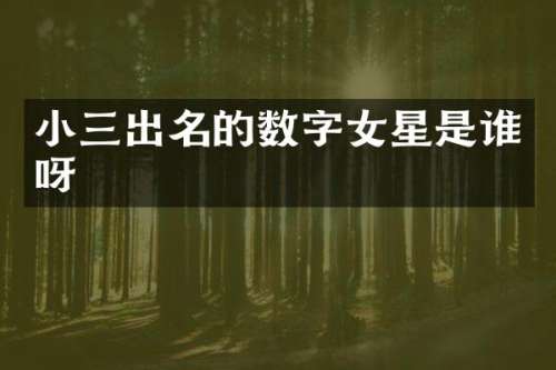 出名的数字女星是谁呀